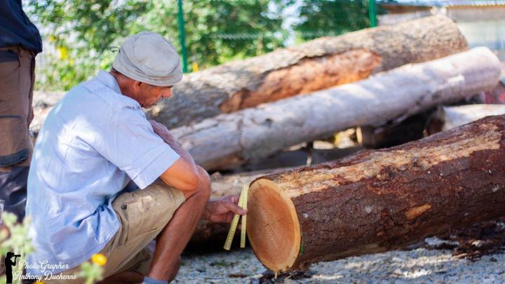 Scierie feuillus Pamiers