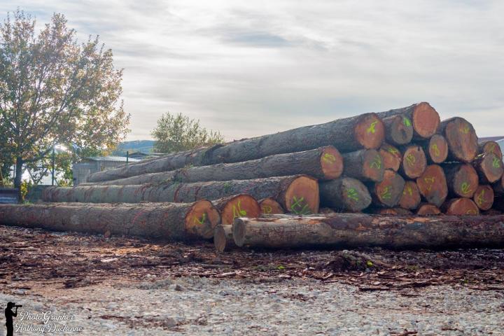Sciage à façon Pamiers